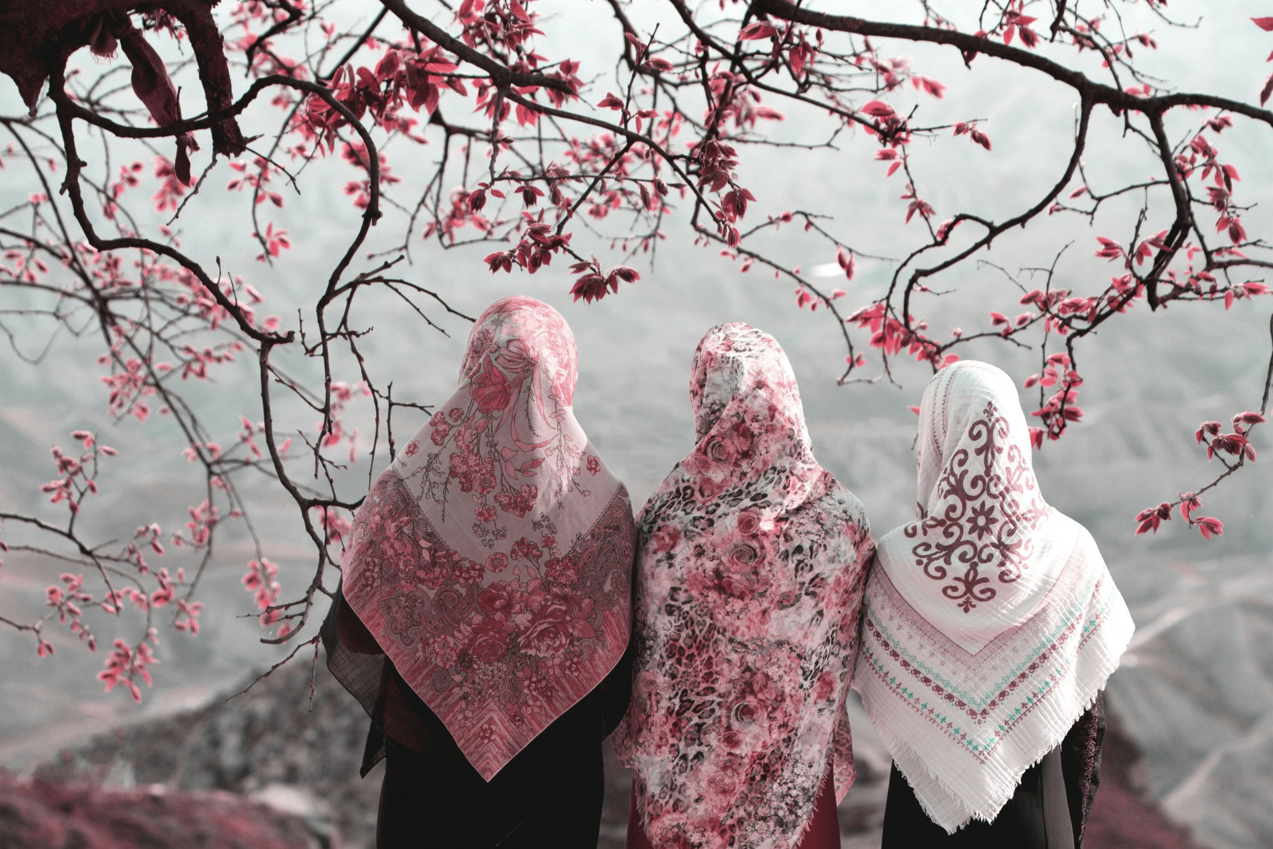 Sisters Tajweed and Tarteel circle